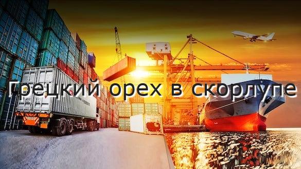 Грецкий орех в скорлупе