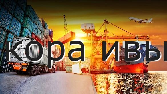 кора ивы