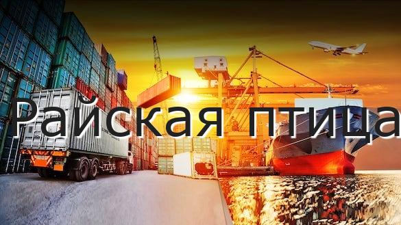 Райская птица